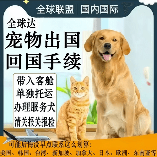 铜仁地区宠物托运到柬埔寨宠物入境规定和要求