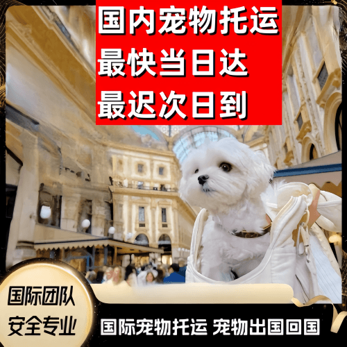 铜仁地区到澳大利亚（澳洲）宠物入境规定和要求