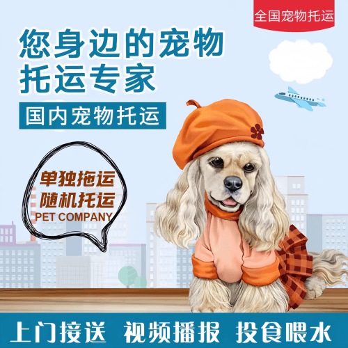 满财铜仁地区宠物全球达宠物托运作为专业的宠物运输代理机构